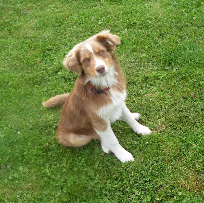 Greed of desire of Angels Mind