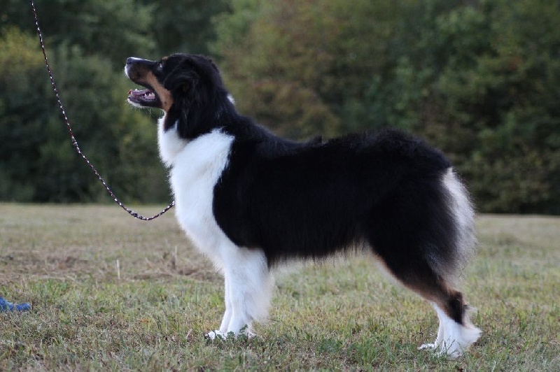 Just an illusion of Angels Mind