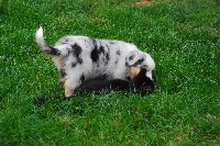 My First Kiss